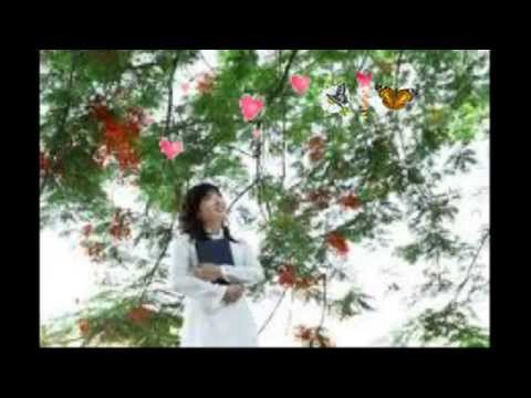 Thể hiện bởi Mắt Ngọc