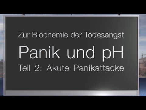 Panik und pH - zur Biochemie der Todesangst. Teil 2: CO2 und Stresshormone - die Panikattacke