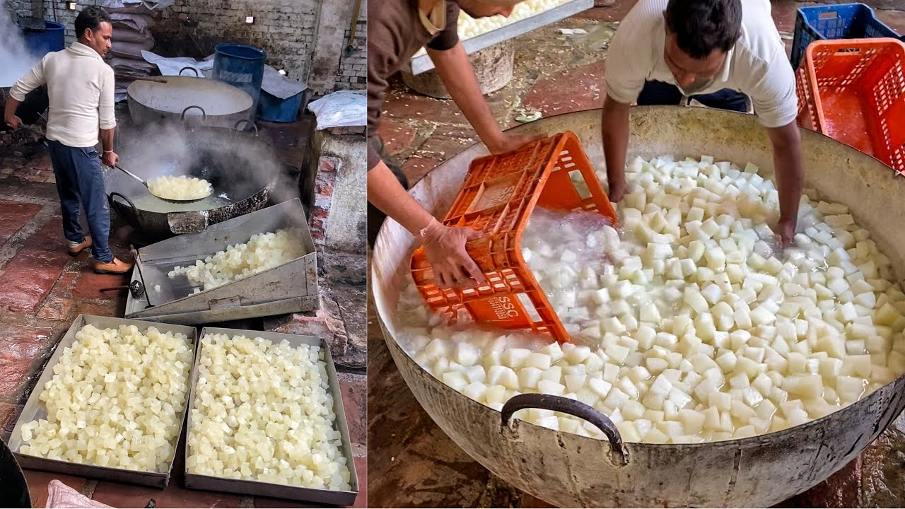 India's MOST HYGIENIC Mithai😱😱 इस से ज़्यादा स्वच्छता से कोई मिठाई नहीं बनती😳😳 Indian Street Food
