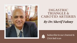 Dr. Sherif Fahmy - Digastric triangle&Carotid art.