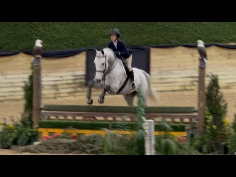 Cicerano Z video 3