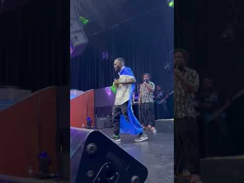 Pisisi live by Elexter