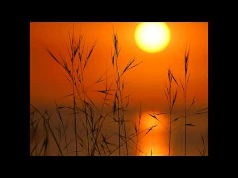 Matt Darey & Urban Astronauts - See the Sun (Aurosonic Remix)