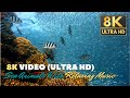 8K ULTRA HD TUYỆT ĐẸP ĐÁY ĐẠI DƯƠNG ÂM NHẠC BẤT HỦ VIDEO VỀ CUỘC SỐNG BIỂ