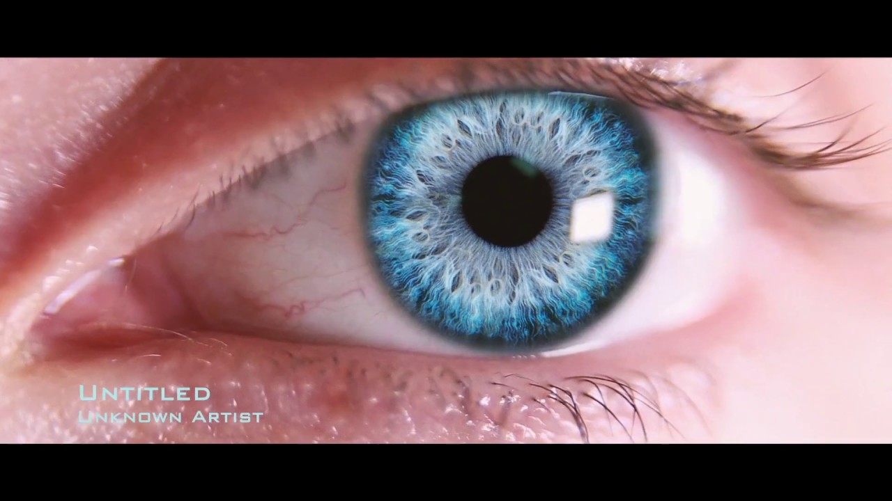 Music Visualization | Renderforest Tutorial