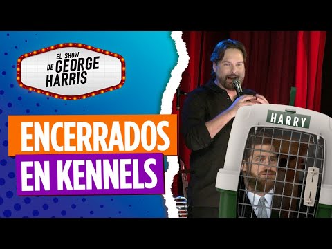 El Show de George Harris 19/01/23 ➡️ [Parte 5] Al príncipe Harry no le daban SALCHICHAS 🌭