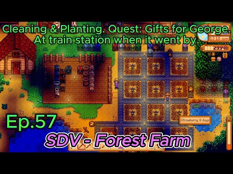 Stardew Valley Forest Farm Ep57- Cleaning & Planting. Quest: Gifts for George. At train station.