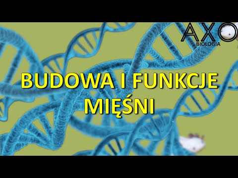 Książki Seluyanov Kulturystyka Ananizm kulturystyka