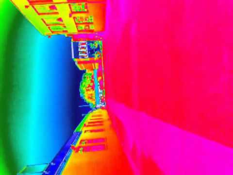 Bad Romance (Skrillex Remix)