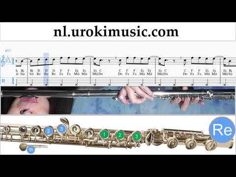 Fluit Leren Spelen Reik ft. Ozuna, Wisin - Me Niego Tablatura um-a799