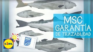 LIDL MSC Garantía de trazabilidad - Elige MSC anuncio