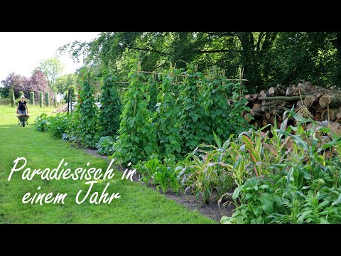 Gartenrundgang: DAS ist in Jahr 1 passiert!