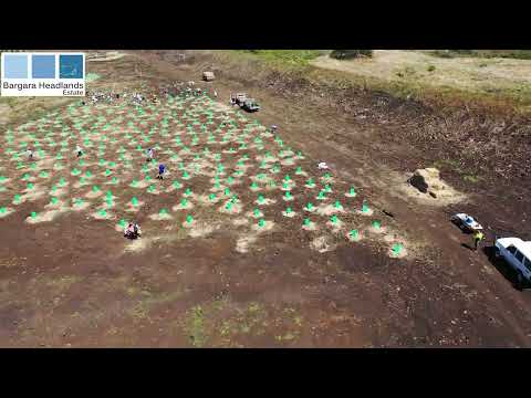 Charlotte's Wood Planting