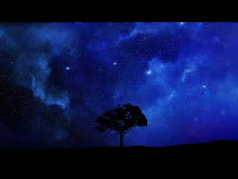 The Yanuka  - Melody of Contemplation