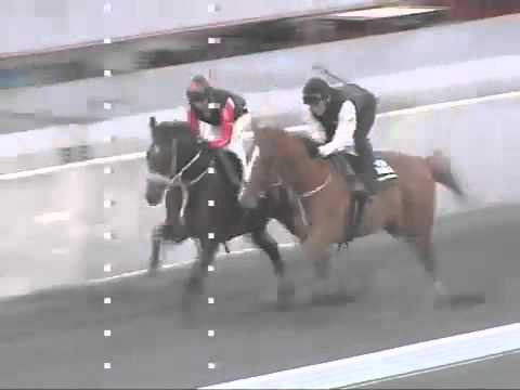 Francois Bernardus & Read My Heart