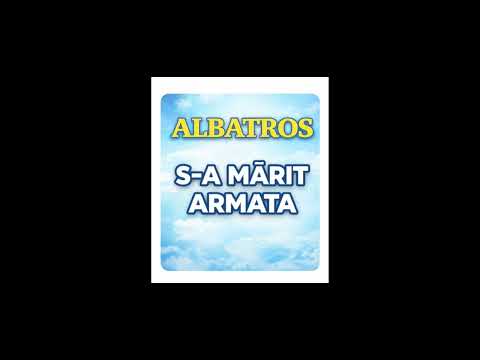 S-A MĂRIT ARMATA-FORMATIA ALBATROS-MUZICA ANILOR 90