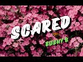 Scared Bushy B Lyrics Video