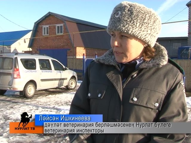 Куркыныч вирус яный