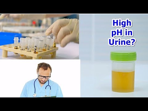 High pH in Urine