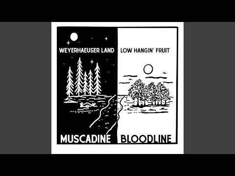 Miniatura de Weyerhaeuser Land
