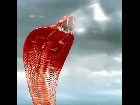 Naagin 6 New Promo नागिन  Nagin promo | Bani vs Sanglira Naagin Episode 67 #naagin6 #shorts