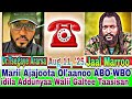 Jaal Marroo Dirribbaa Fi Dr Tsegaye Ararsa Marii Jaarmiyaa ABO WBO Waliin Taasisan Aug 9 25