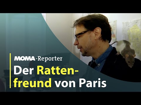 Der Rattenfreund von Paris | ARD Morgenmagazin
