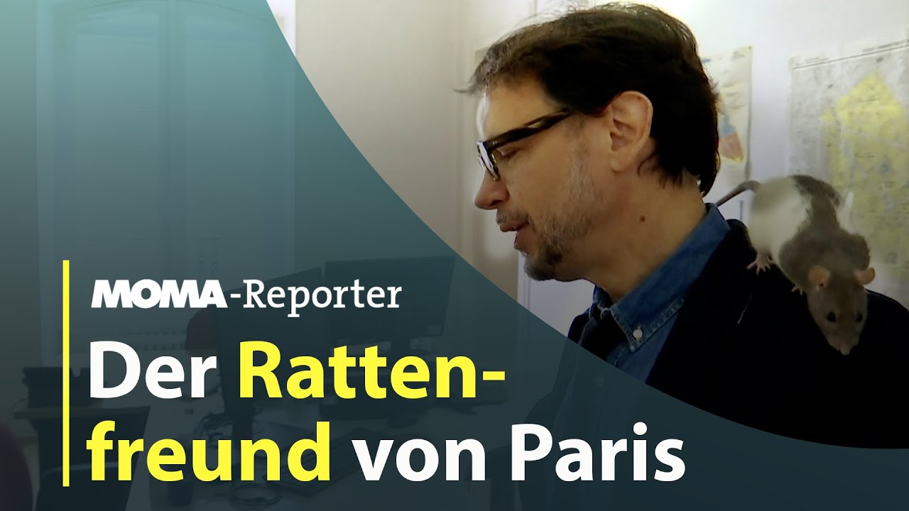 Der Rattenfreund von Paris | ARD Morgenmagazin