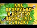 Как почистить селедку. Как правильно и быстро почистить селедку.Petr de Cril'on 