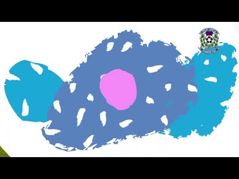 Dalry Thistle FC Vs Greenock juniors 2/8/23