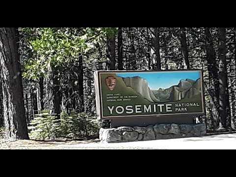 image-Is it easy to drive to Yosemite from SF?