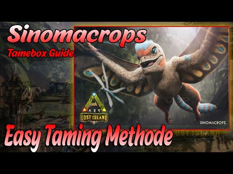 Sinomacrops Easy Tamebox - Mit dieser Variante kann jeder den Sinomacrops Easy Tamen PVE sowie PVP