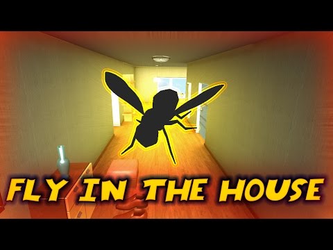 Fly In The House 