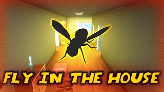 Fly In The House 13
