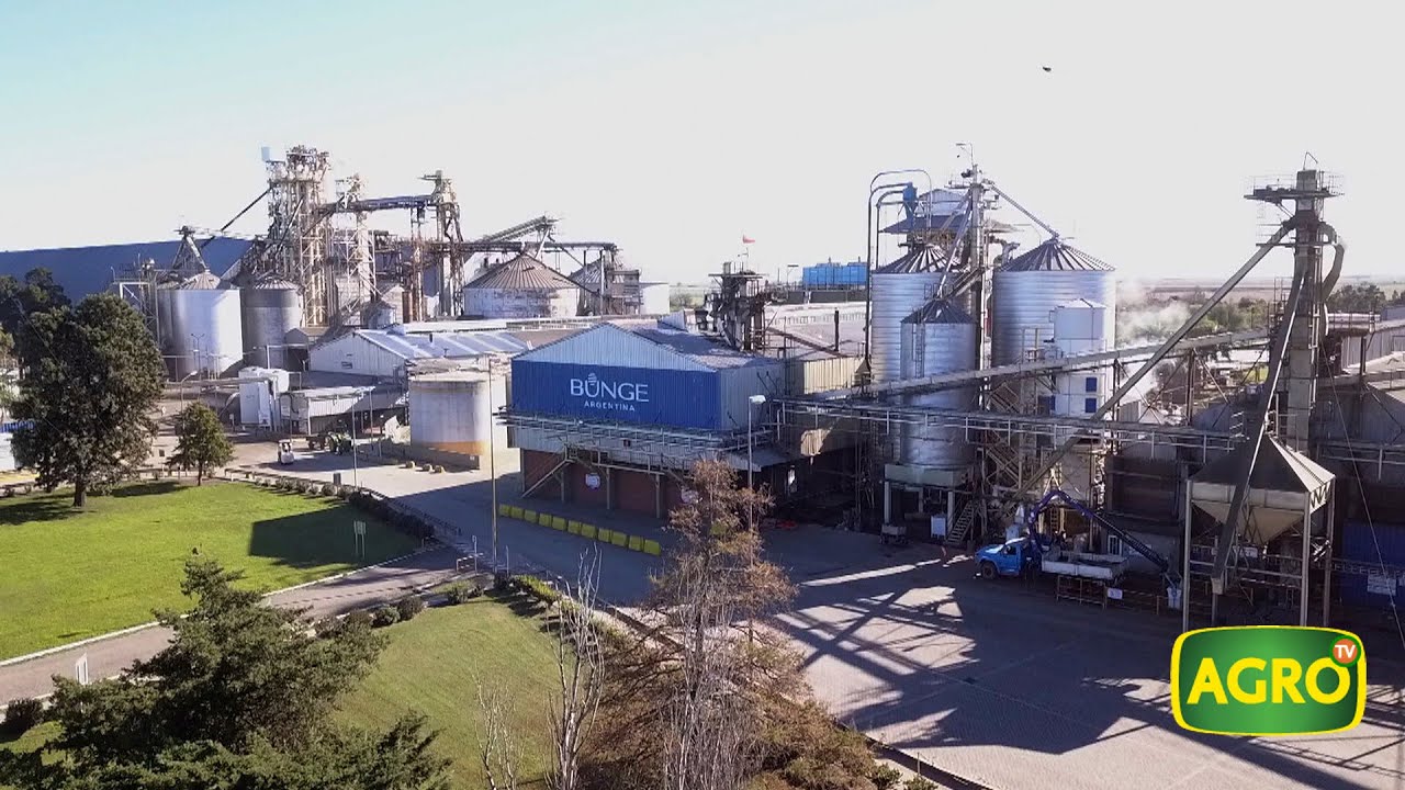 Bunge invierte y llega de la siembra a la mesa (#827 2019-06-08)