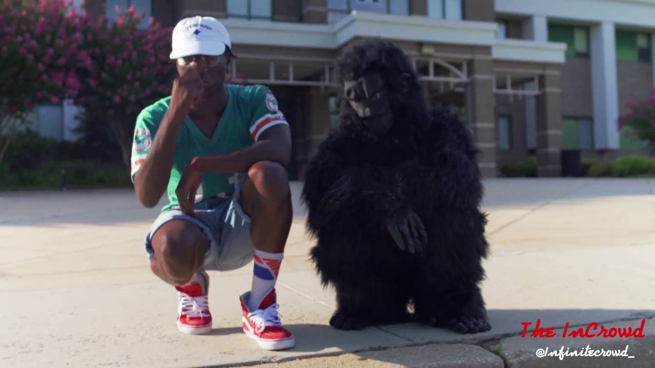 Infinite - Harambe Clinton