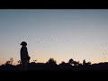 Dexta Daps God Got Me Official Music Video