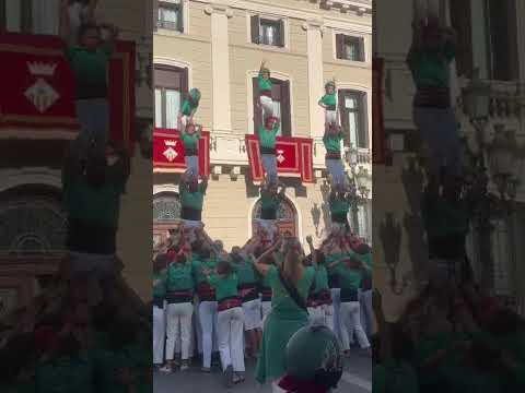 video-cover