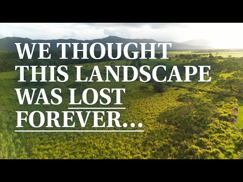 Kick start the Restoration Era in the Daintree