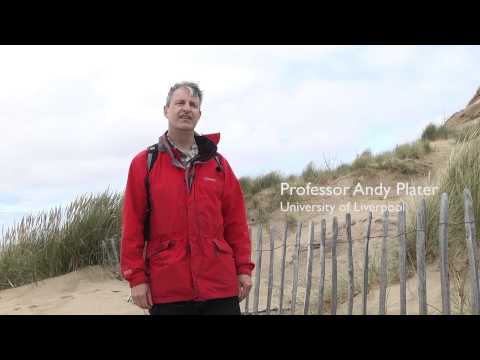 iCOASST - Sefton coast field trip