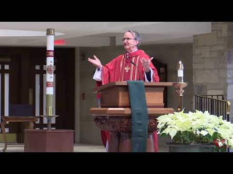 Video Homily - Understanding the Stages of Faith