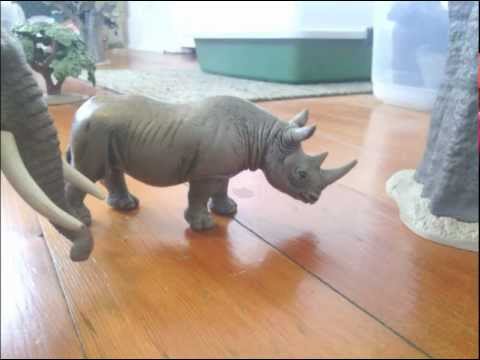 Animal Adventures' Studios Presents - Animal Face-Off: Elephant vs Rhino