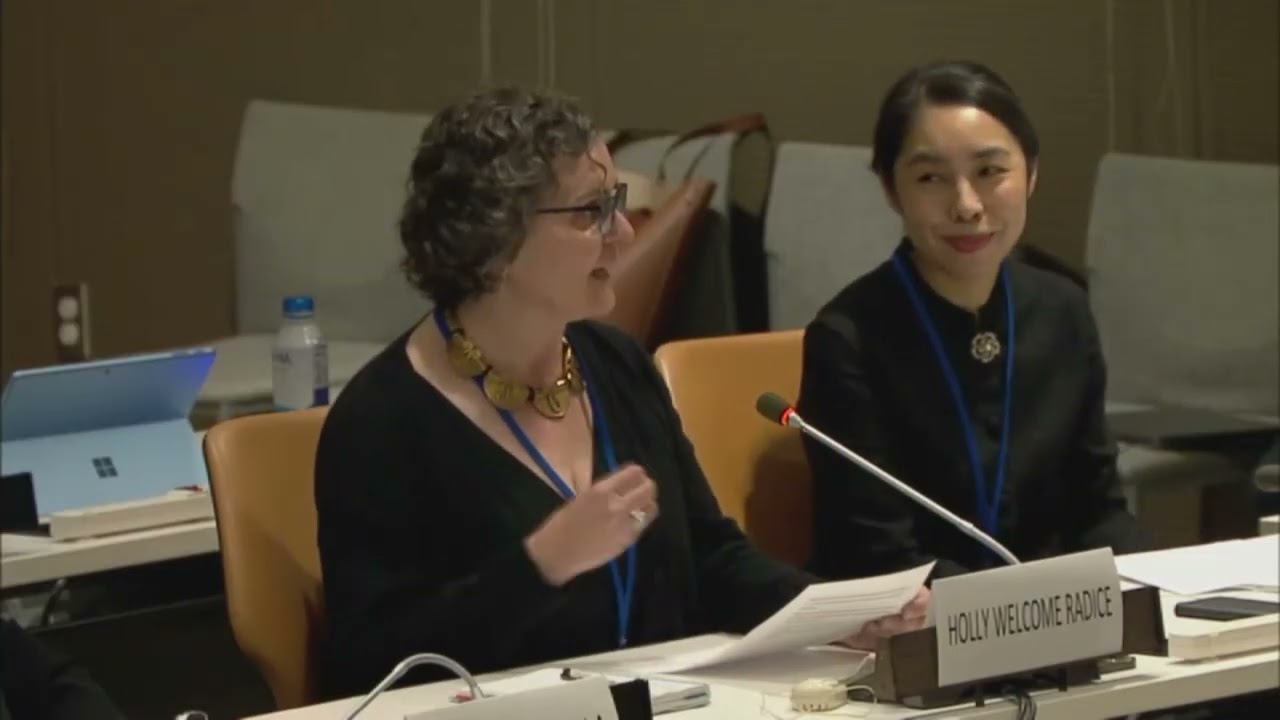 What does the evidence say about cash and voucher assistance? ECOSOC Panel contribution by CALP