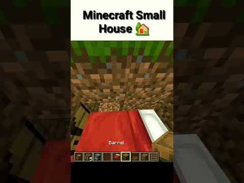 EPIC! Build a Small House in Minecraft #shorts