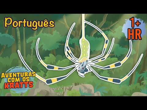 Aranhas [episódios completos] Aventuras com os Kratts