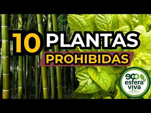 Avoid These 10 Plants in Your Garden (Alex's Essential Guide)