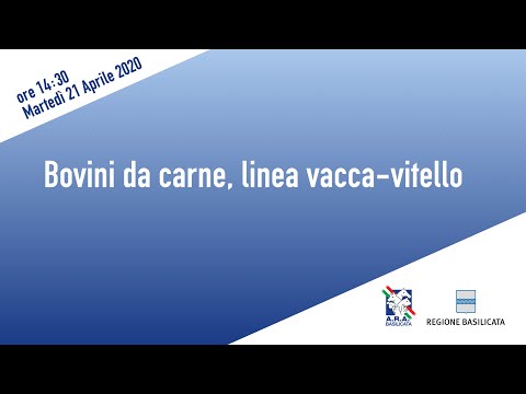 , title : 'Bovini da carne, linea vacca-vitello'