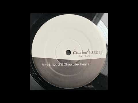 Aphrohead - Thee Light (House Cat's ''Run 4 Yo Life'' Mix Pt. 01 And 02)