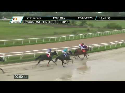 230325 c02 - LA BELUCCI - HIPODROMO LAS PIEDRAS