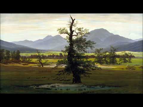 Fanny Mendelssohn Hansel: Piano Trio in D minor Op. 11